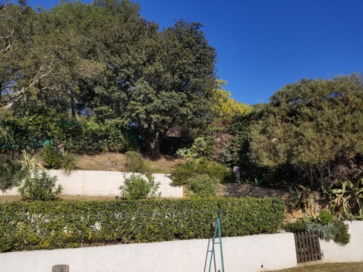 Villa La Louviere Valmer Golfe De Saint Tropez